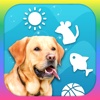 Dog Toy - Dog Sounds and Games for Dogs