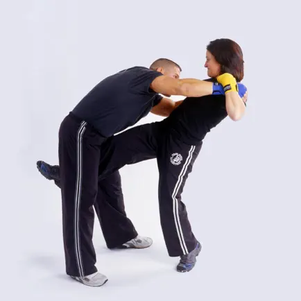 Krav Maga Master Class Cheats