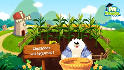 Dr. Panda : Potager Dr. Panda : Potager