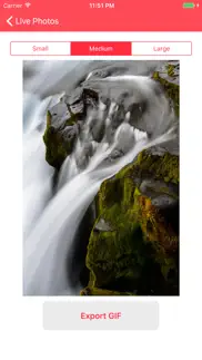 live photos to gif - livegifs iphone capturas de pantalla 3