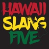 Hawaii Slang Sticker Pack 5