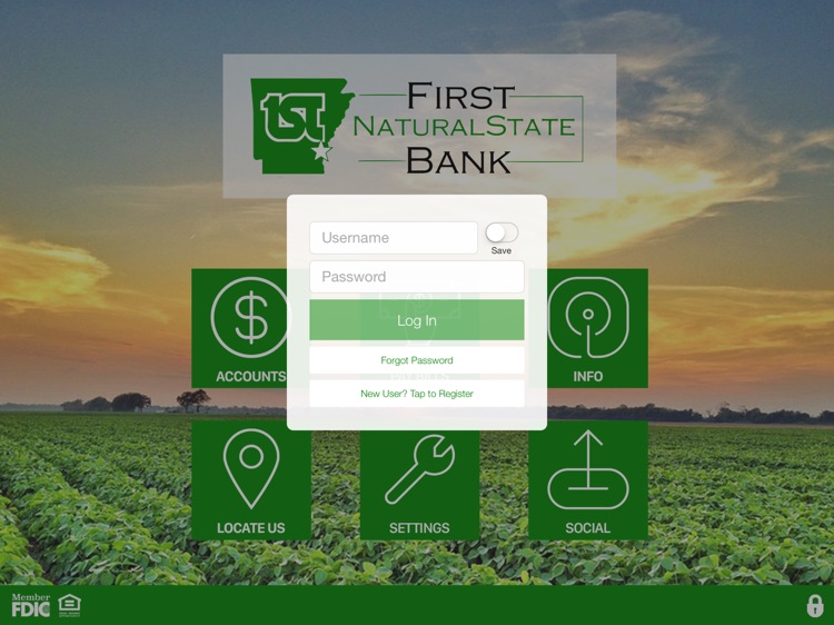First NaturalState Bank for iPad