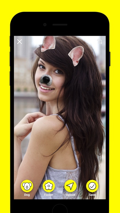 Dogenses - Dog Face Lenses App