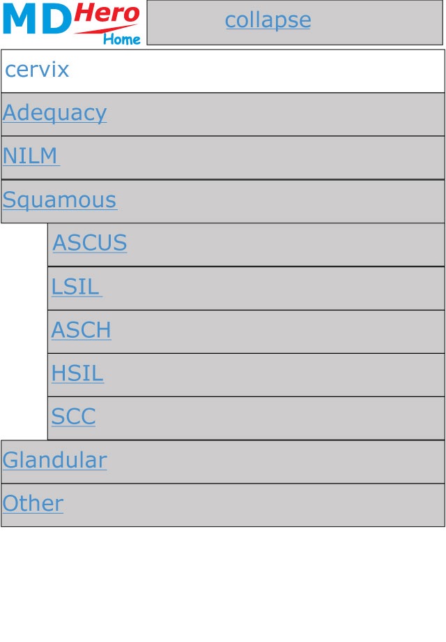 Cytology screenshot 2