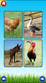 Farm Sounds Lite - Fun Animal Noises for Kids screenshot