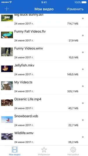 Скриншот Видео Загрузчик для IPhone на iPhone 3
