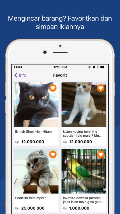 OLX Indonesia