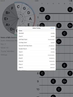 FretBud - Chord & Scales for Guitar, Bass and More iPad image 3