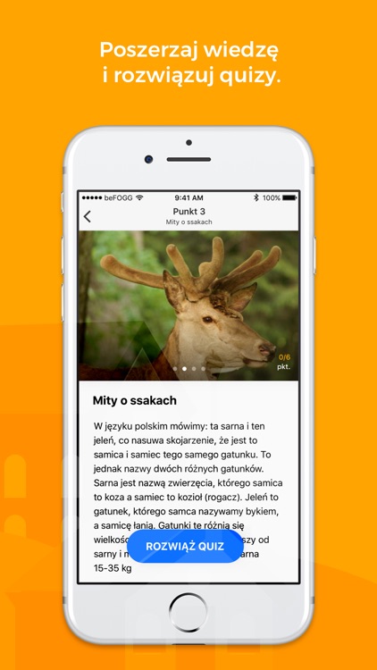 beFOGG - Explore It! screenshot-3