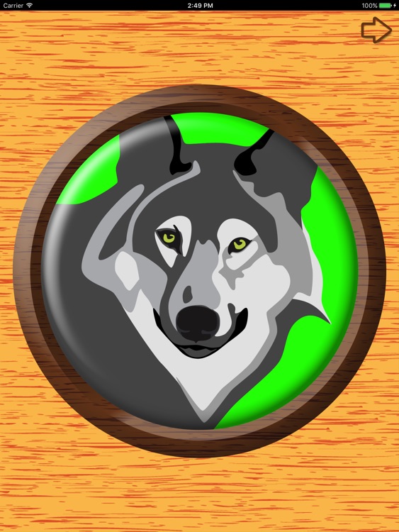 Big Button Box Animals HD - sound effects & sounds screenshot-3