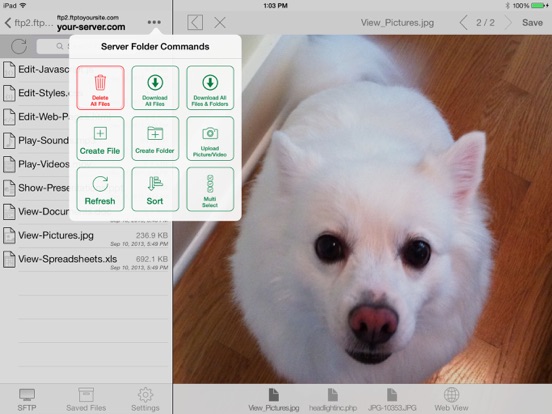 FTP On The Go PRO iPad app afbeelding 5