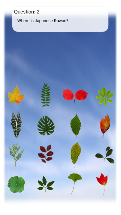 Leaves Quiz Touch screenshot1