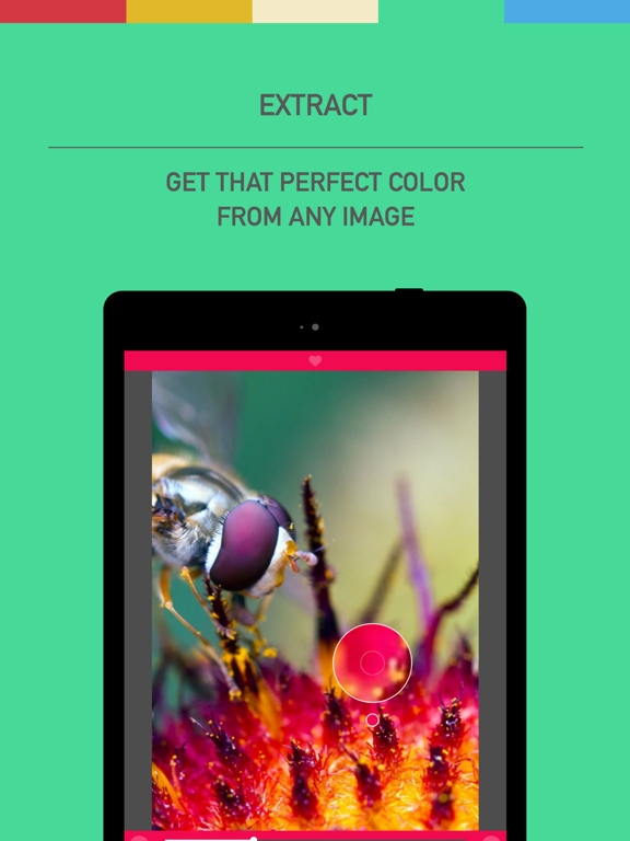 Screenshot #6 pour Color Mate - Convert and Analyze Colors