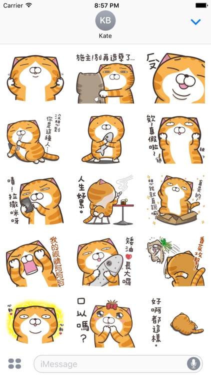 the haughty smelly cat 5 stickers