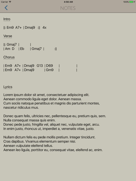 StudioMini XL - Your trusty music recorder screenshot-4