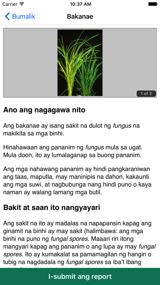 #4. Rice Doctor Tagalog (iOS) 由: LucidMobile
