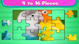Game screenshot Love Bird Jigsaw Puzzle paradise : Train The Brain apk
