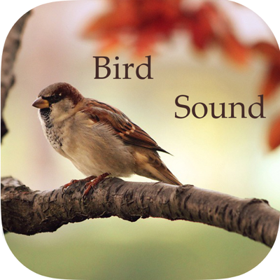 Bird Sounds -Bird relax,sleep Sounds