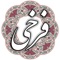 ابوالحسن علی بن جولوغ سیستانی معروف به فرخی سیستانی از غلامان امیرخلف بانو آخرین امیر صفاری بود