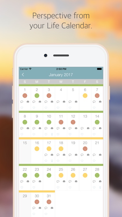 Perspective, a mindful journal
