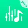 Voice Changer Pro - Sound Effects Editor