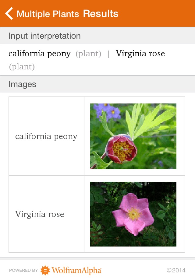 Wolfram Plants Reference App screenshot 4