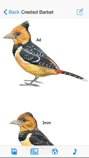 eguide to birds of east africa problems & solutions and troubleshooting guide - 2