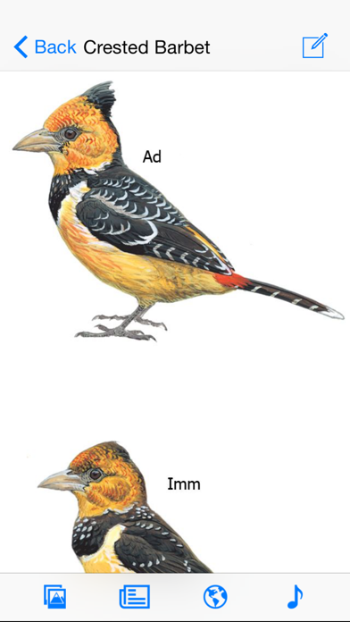 eGuide to Birds of East Africaのおすすめ画像4