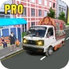 Pickup Van Driver Pro