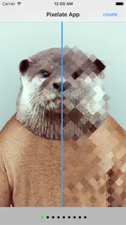 pixelateapp art iphone capturas de pantalla 2