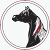 الحصان العربي app icon - Business app for iPhone