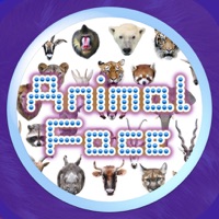 Animal Faces Touch 〜動物の顔を当ててみよう〜