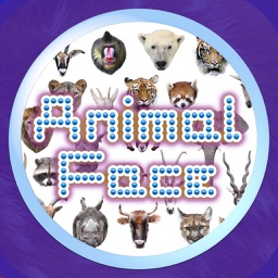 Animal Faces Touch Quiz :: Hit a face of an animal