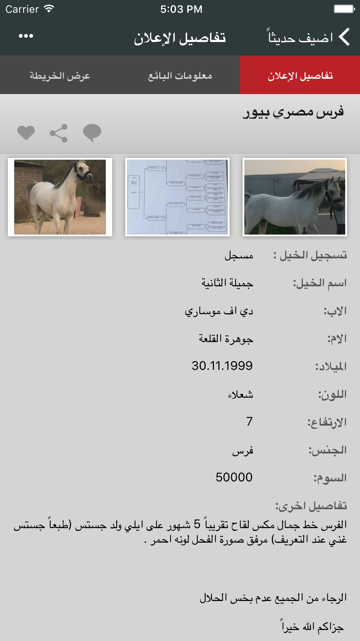 الحصان العربي