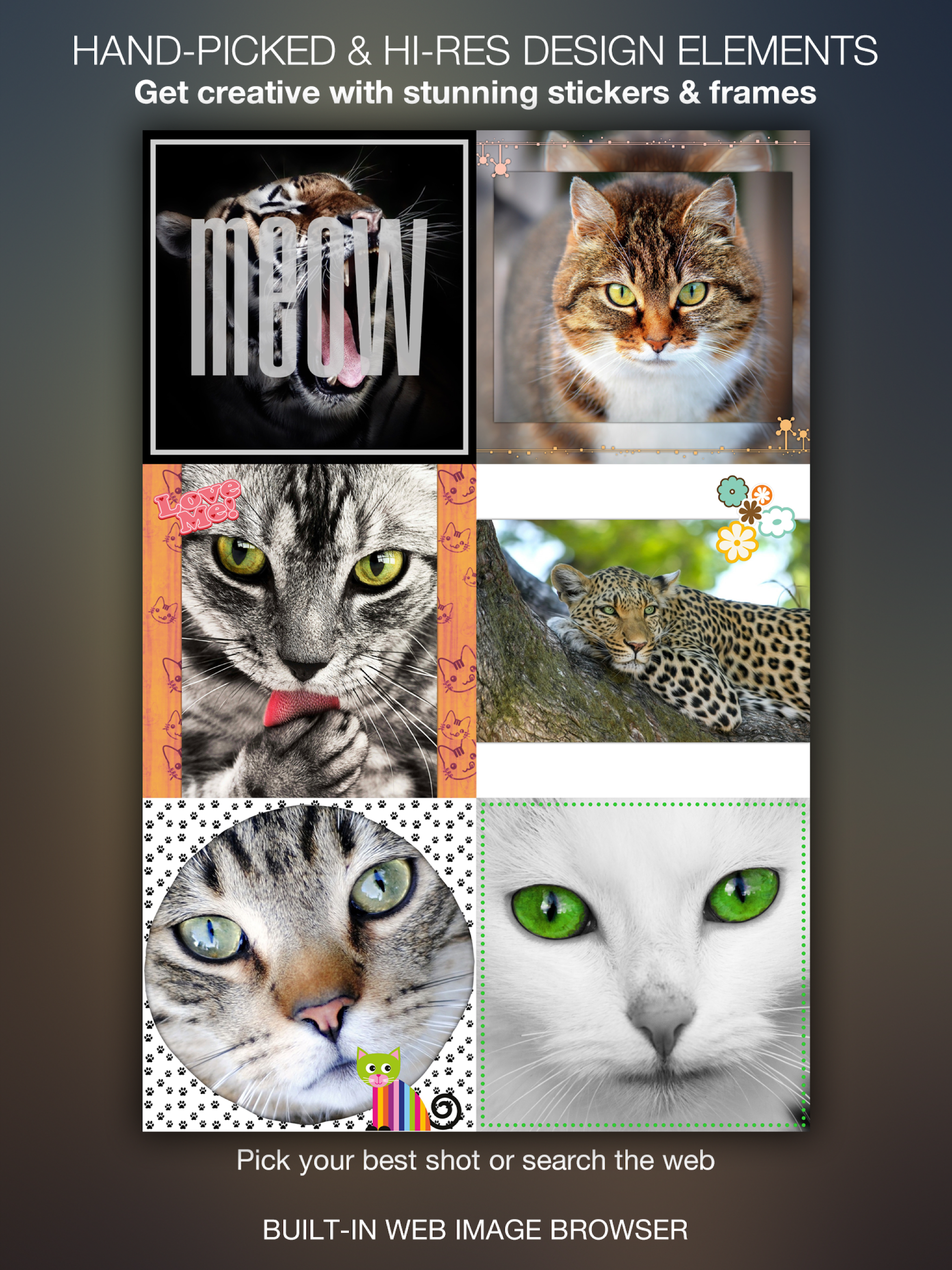 Meow Pics – Photo frames & stickers for cats screenshot 6