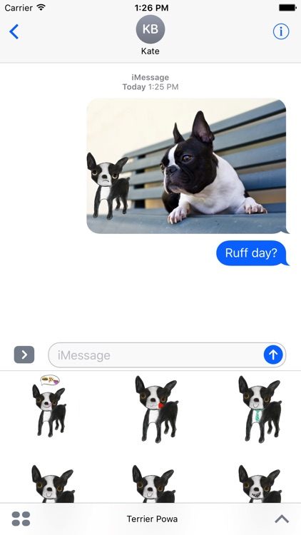 Terrier Powa screenshot-3