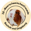 IG-MS Bocholt und Umgebung