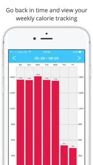 5:2 fast diet calculator, tracker & planner problems & solutions and troubleshooting guide - 2
