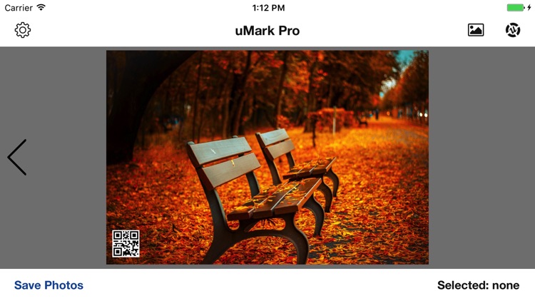 uMark Photo Watermarker Pro