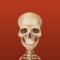 iOrtho+® is the #1 mobile guide for orthopedic special tests and manual techniques