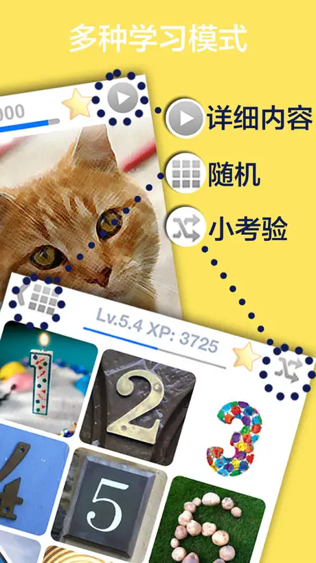 R&S Lotto