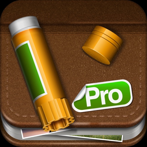 Story Creator Pro - Make Stories and Photo Albums Icon