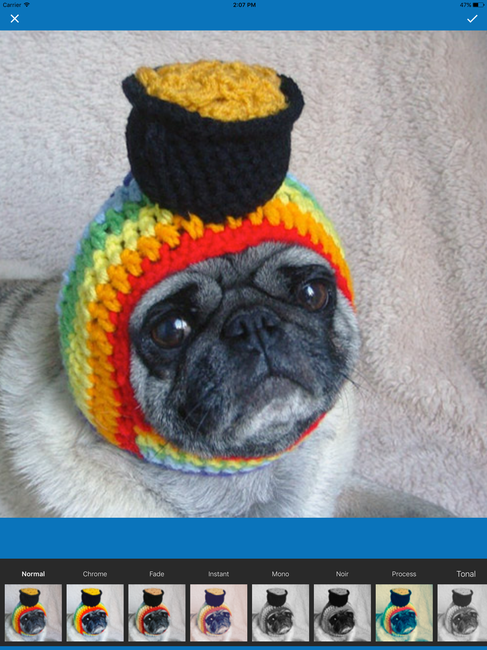 Dog Wallpapers - Cute Puppies Themes For Mobile screenshot 6