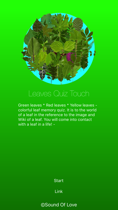 Leaves Quiz Touch screenshot1