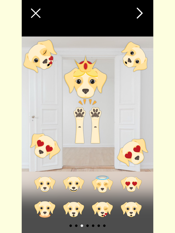 Cream Labrador Photo Booth