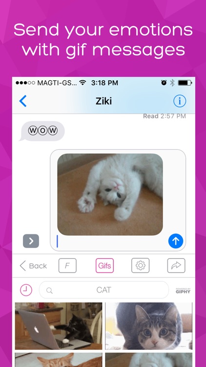 Keyboard Skins for iPhone - themes, fonts, GIFs