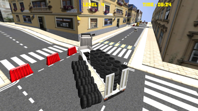 Driver Truck Cargo 3D screenshot 1