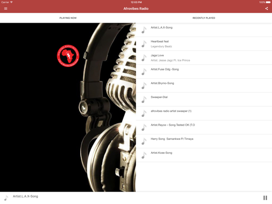 Afrovibes Radio iPad screenshot 3 - Music app