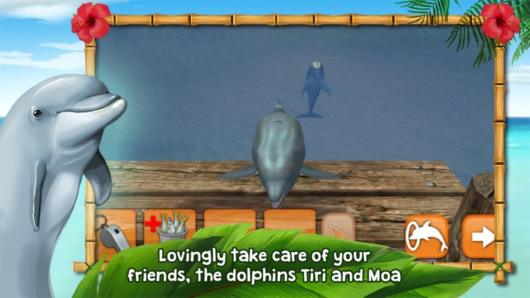Dolphins of the Caribbean screenshot-3