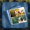 Pics Montage - Best ever photo collage creator!